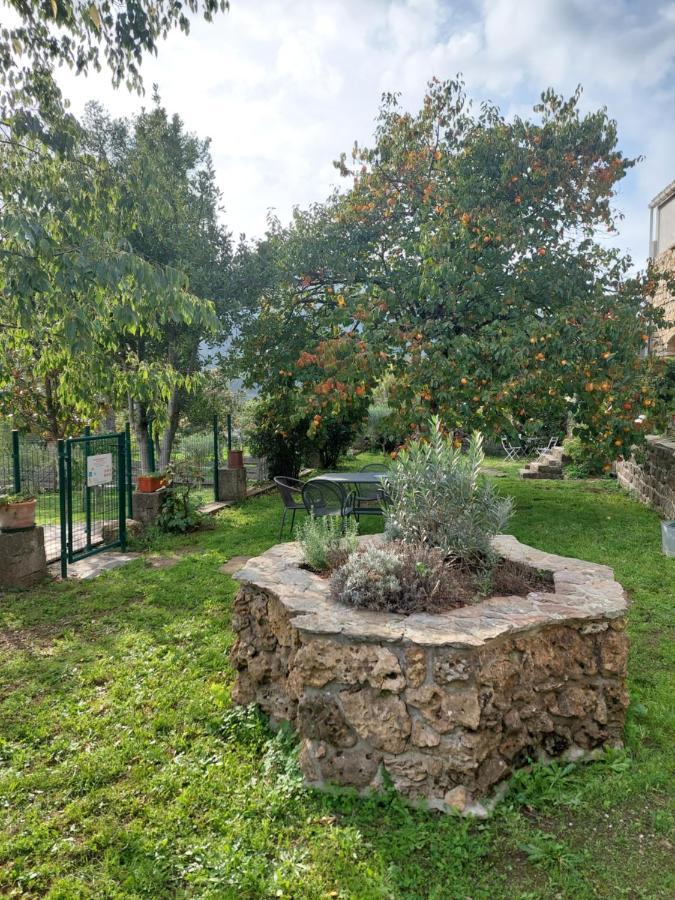 Le Mas Du Galibot Chambre Cambalotte Saint-Florent-sur-Auzonnet ภายนอก รูปภาพ